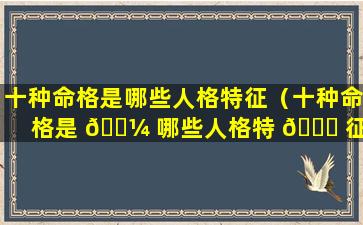 十种命格是哪些人格特征（十种命格是 🌼 哪些人格特 🐈 征呢）